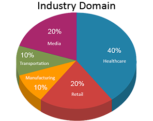 Industry domain pie chart